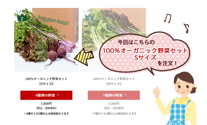 100％オーガニック野菜セット【Sサイズ】