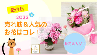 母の日2022！売れ筋や人気のおすすめのお花はコレ！