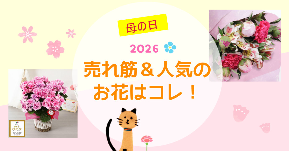 母の日プレゼントにぴったり！2026年人気の花ランキング5